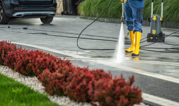 Best Commercial Pressure Washing in Muleshoe, TX